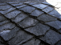 RIMG0445.jpg