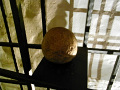 RIMG0455.jpg