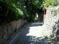 RIMG0469.jpg