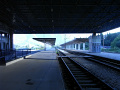 RIMG0478.jpg