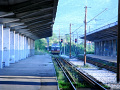 RIMG0479.jpg