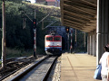 RIMG0482.jpg