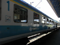 RIMG0484.jpg