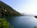RIMG0493.jpg