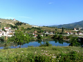 RIMG0501.jpg