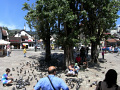 RIMG0522.jpg