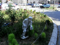 RIMG0555.jpg