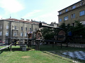 RIMG0556.jpg