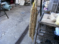 RIMG0570.jpg