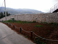 RIMG0590.jpg