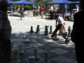 RIMG0626.jpg