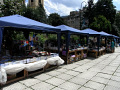 RIMG0627.jpg