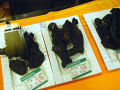 RIMG0024.jpg