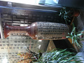RIMG0062.jpg