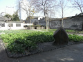 RIMG0067.jpg