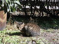 RIMG0069.jpg