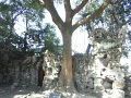 RIMG0071.jpg