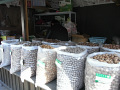 RIMG0072.jpg