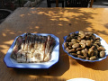 RIMG0074.jpg