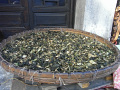 RIMG0089.jpg