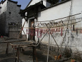 RIMG0131.jpg