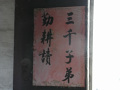 RIMG0139.jpg