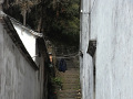 RIMG0143.jpg