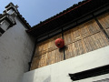 RIMG0144.jpg