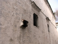 RIMG0145.jpg