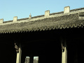 RIMG0174.jpg