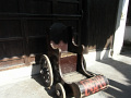 RIMG0175.jpg
