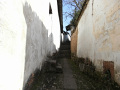 RIMG0186.jpg