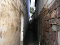 RIMG0193.jpg
