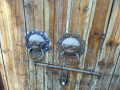 RIMG0197.jpg