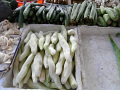 RIMG0209.jpg