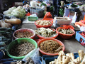 RIMG0217.jpg
