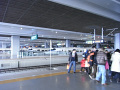RIMG0240.jpg