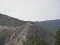 RIMG0529.jpg
