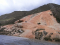 RIMG0595.jpg
