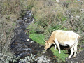 RIMG0602.jpg