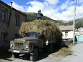 RIMG0603.jpg
