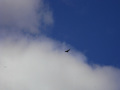 RIMG0605.jpg