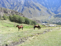 RIMG0606.jpg