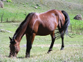 RIMG0607.jpg