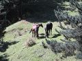 RIMG0609.jpg
