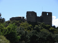 RIMG0635.jpg