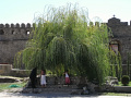 RIMG0662.jpg