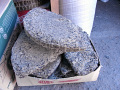 RIMG0684.jpg