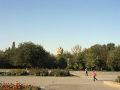 RIMG0702.jpg