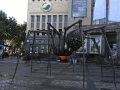 RIMG0712.jpg